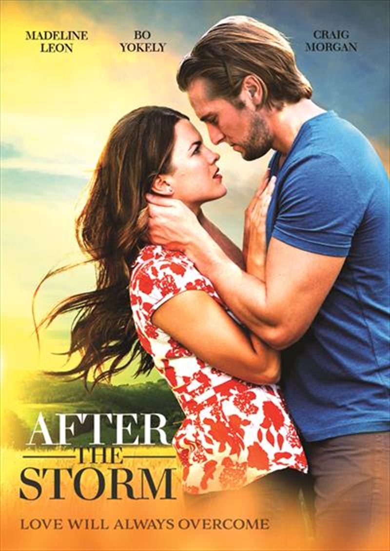 After The Storm (REGION 1)/Product Detail/Drama