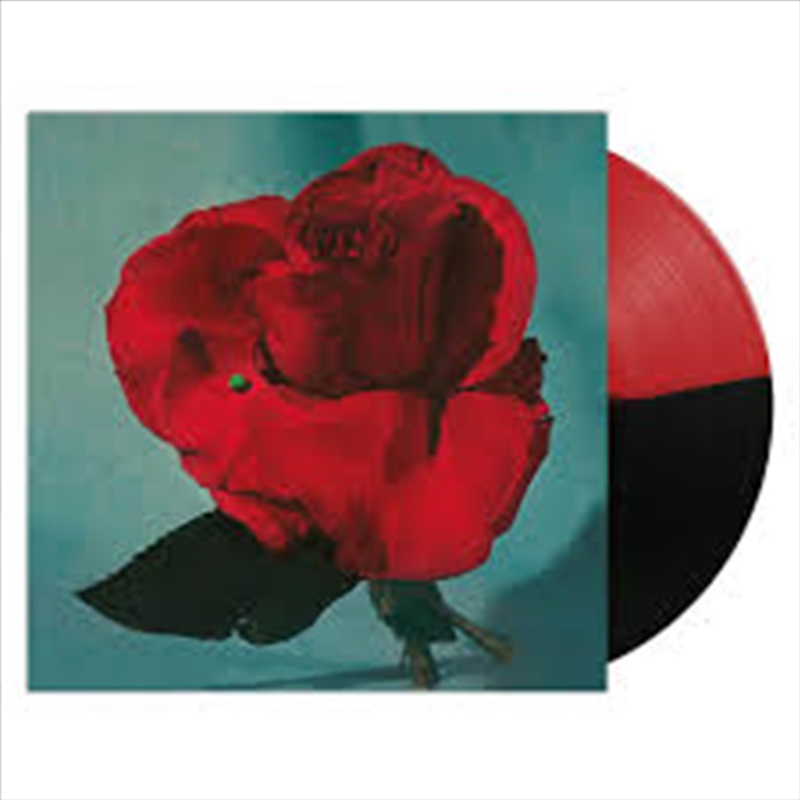 Up On Gravity Hill/Product Detail/Rock/Pop