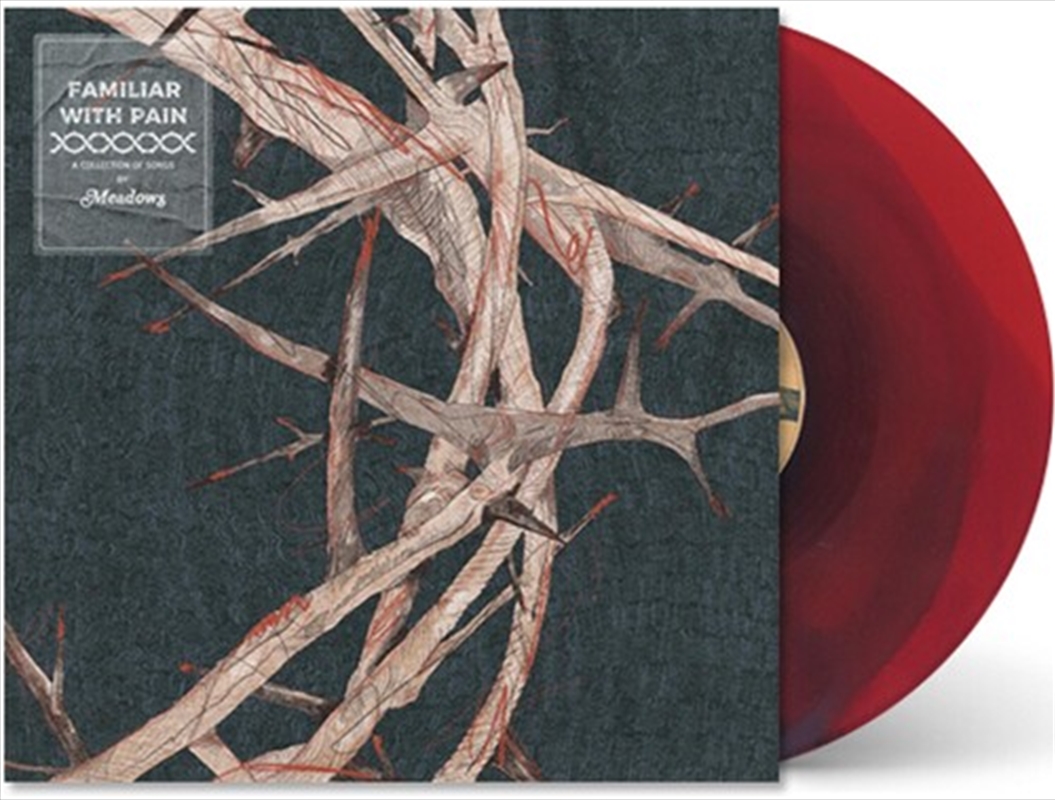 Familiar With Pain/Product Detail/Rock/Pop
