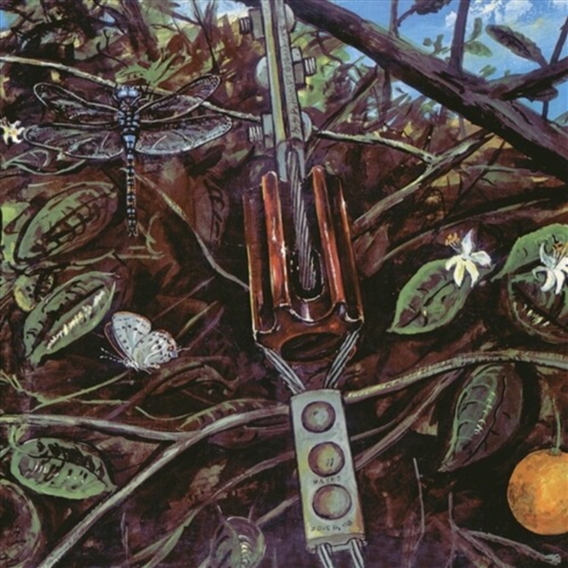 Dragonfly/Product Detail/Rock/Pop