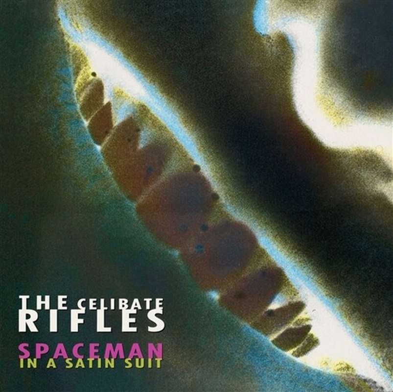 Spaceman In A Satin Suit/Product Detail/Rock/Pop