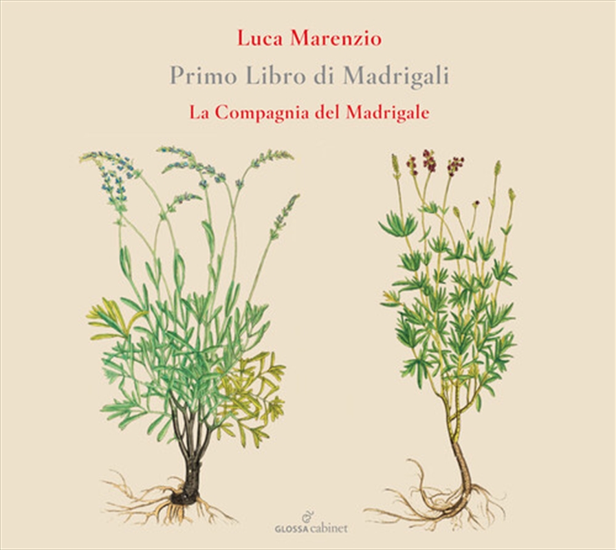 Primo Libro Di Madrigali/Product Detail/Classical