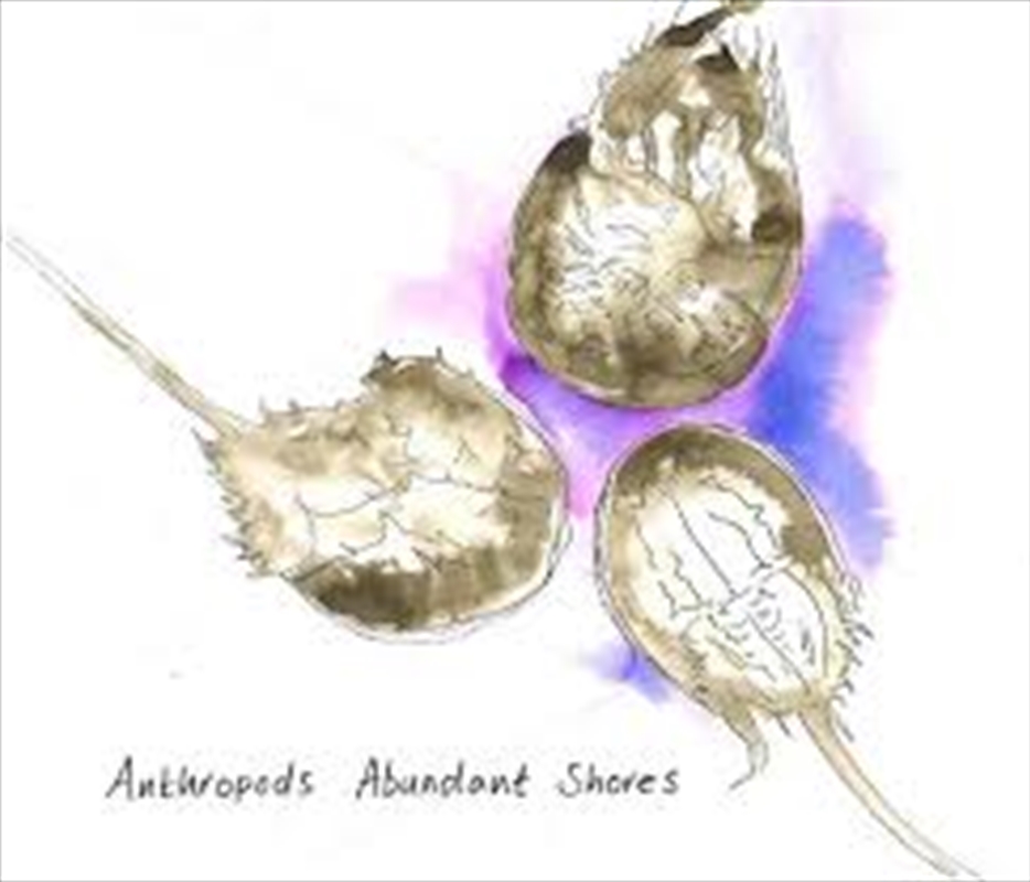Abundant Shores/Product Detail/Jazz