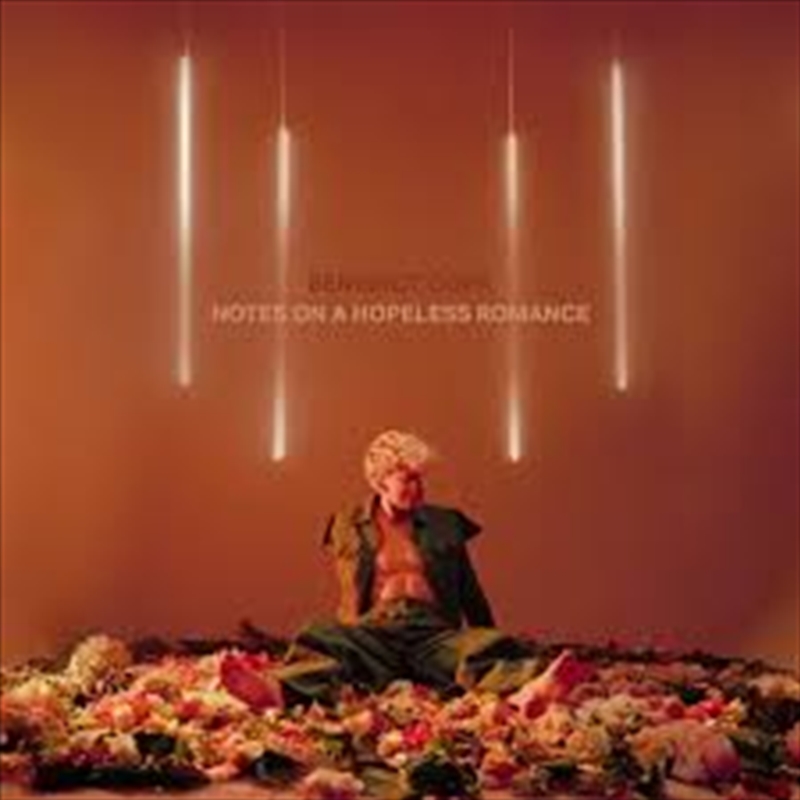 Notes On A Hopeless Romance/Product Detail/Rock/Pop