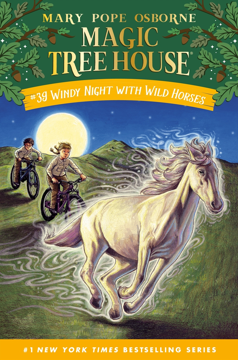 Windy Night with Wild Horses/Product Detail/Childrens Fiction Books