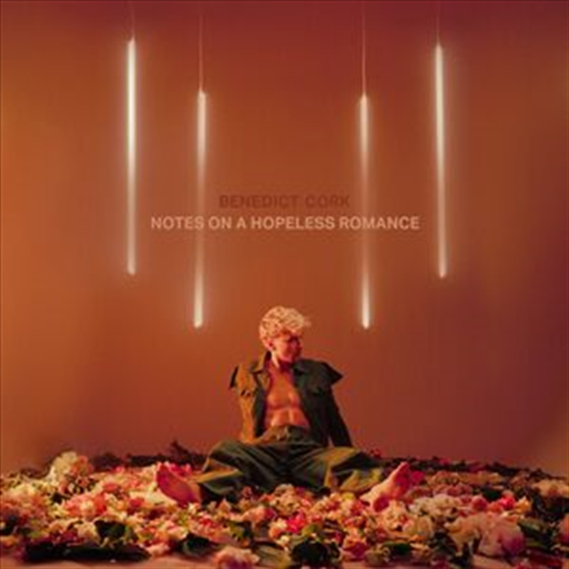 Notes On A Hopeless Romance/Product Detail/Rock/Pop