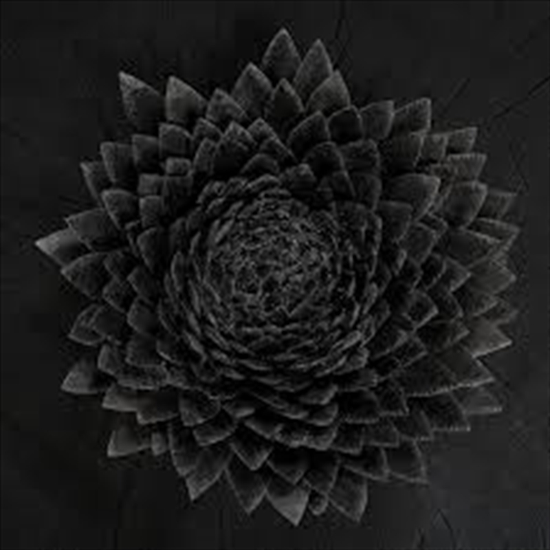 Obsidian/Product Detail/Rock/Pop