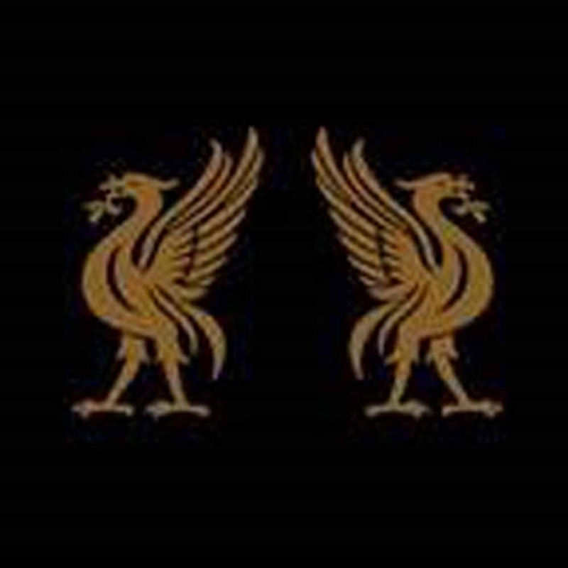 Liverbirds/Product Detail/Rock/Pop