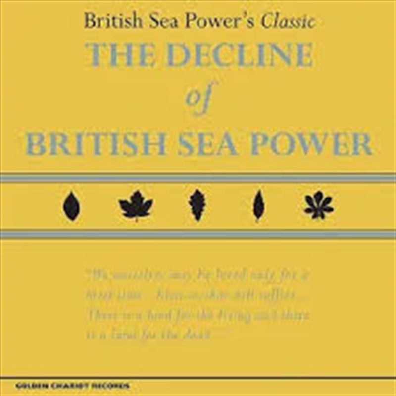 The Decline Of British Sea Power (LP Yellow Vinyl)/Product Detail/Rock/Pop