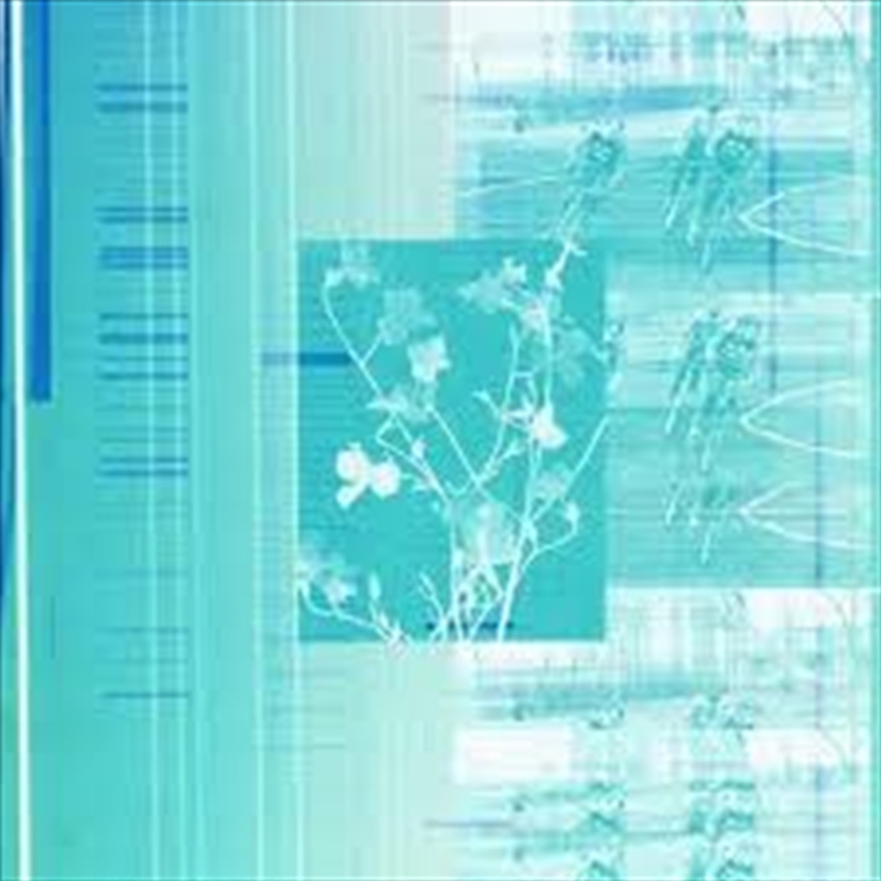 Vanarama Bar/Product Detail/Dance