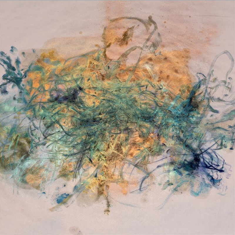 The Sport Of Love/Product Detail/Dance