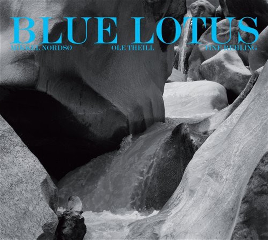 Blue Lotus/Product Detail/Jazz
