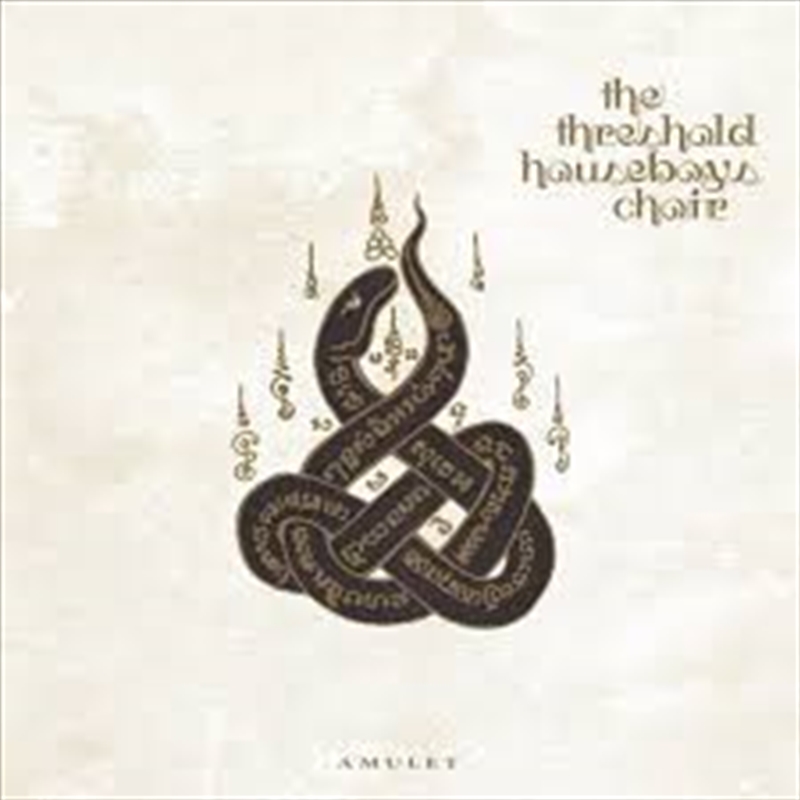 Amulet (2Cd)/Product Detail/Rock/Pop