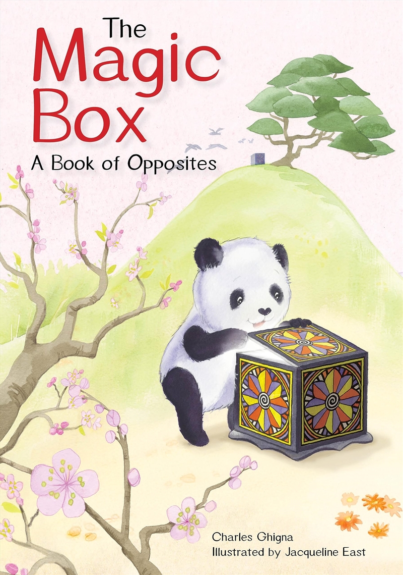 Magic Box/Product Detail/Childrens Fiction Books
