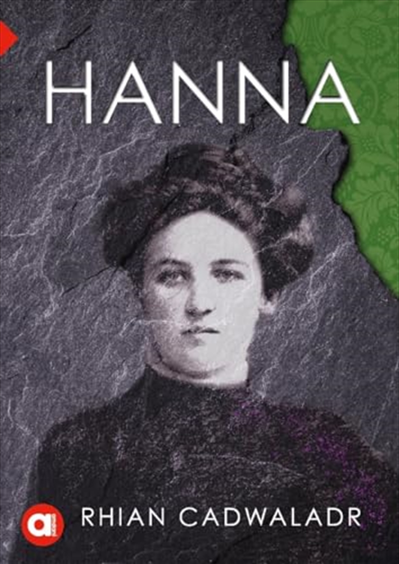Cyfres Amdani: Hanna/Product Detail/General Fiction Books