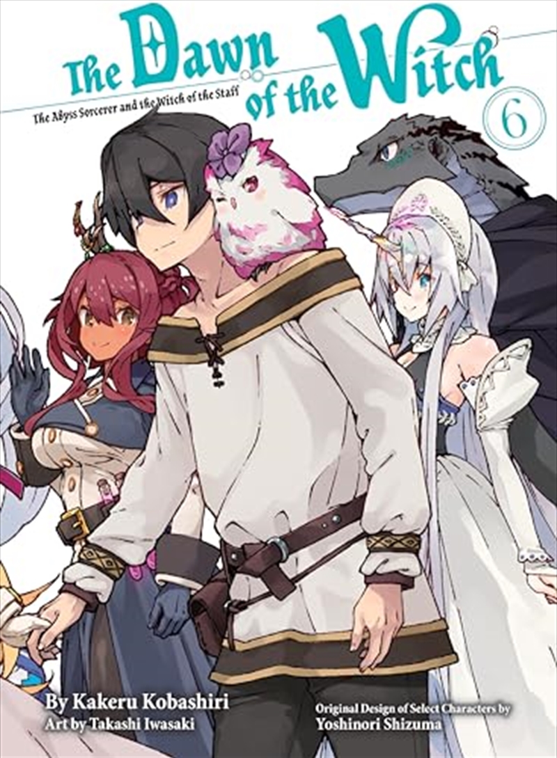 The Dawn Of The Witch 6 (Light Novel) (Dawn Of The Witch, Light Novel, 6)/Product Detail/Science Fiction Books