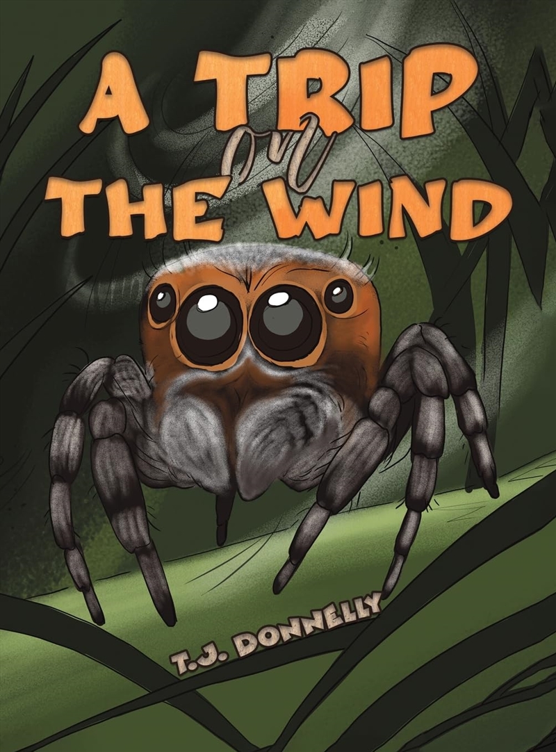 A Trip On The Wind/Product Detail/Childrens Fiction Books