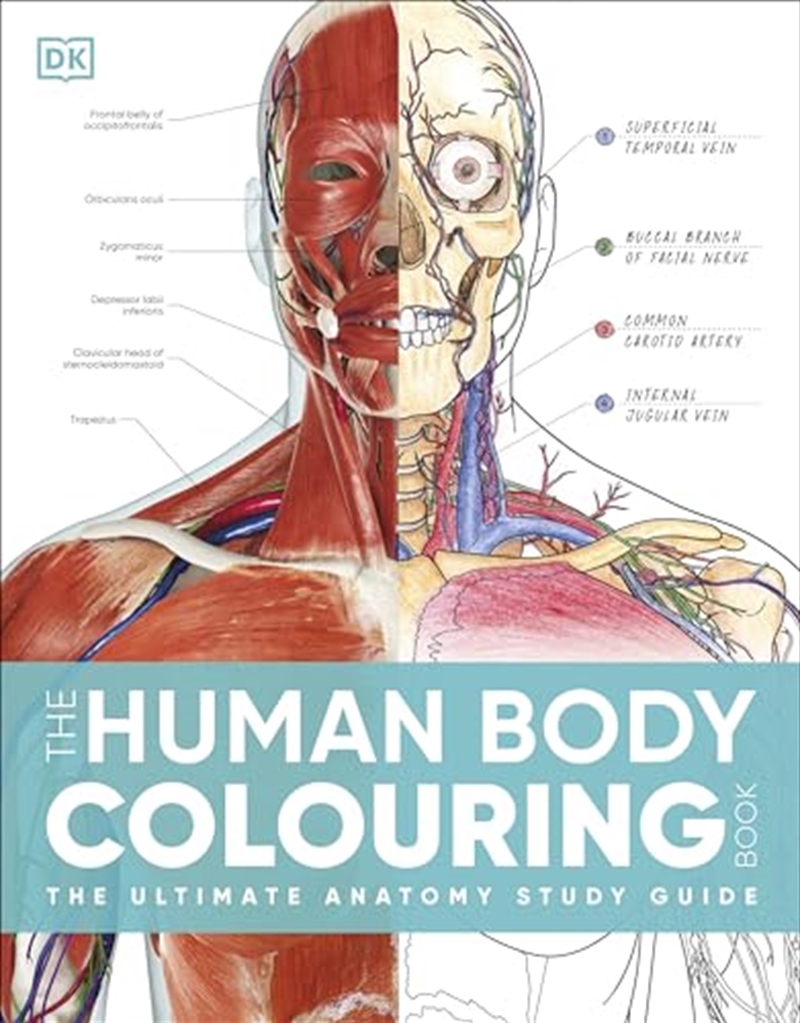 The Human Body Colouring Book: The Ultimate Anatomy Study Guide/Product Detail/Family & Health