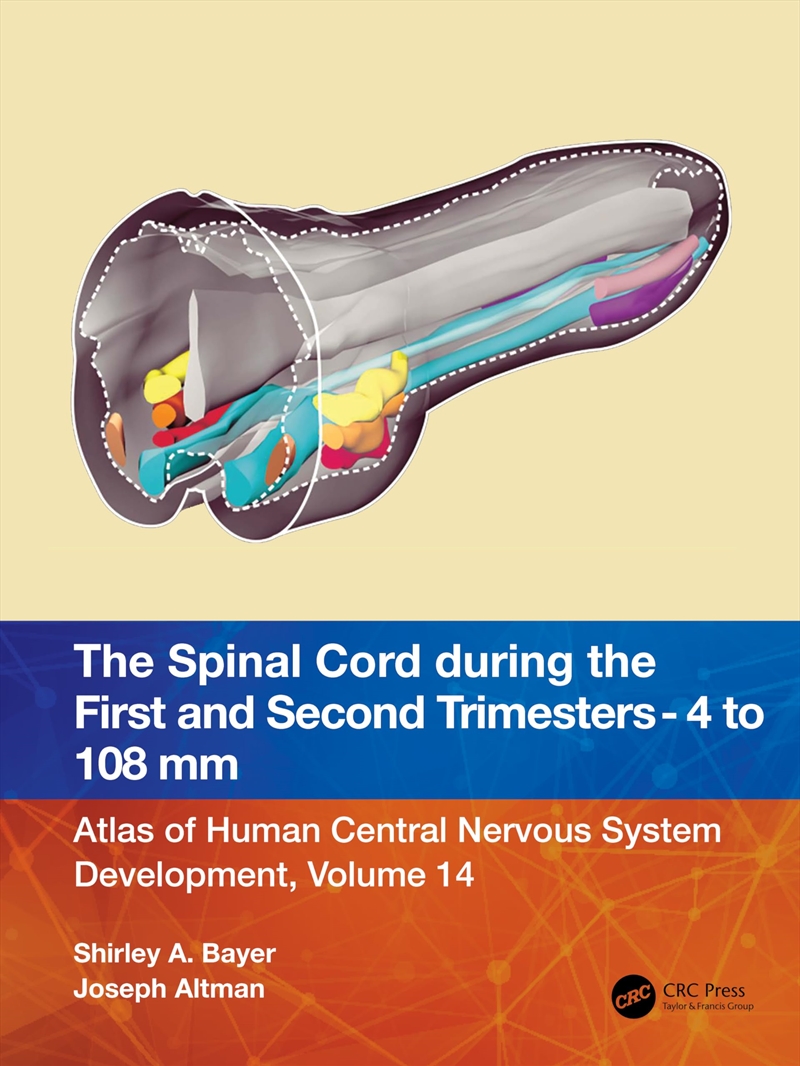 The Spinal Cord During The First And Early Second Trimesters 4- To 108-Mm Crown-Rump Lengths: Atlas/Product Detail/Science