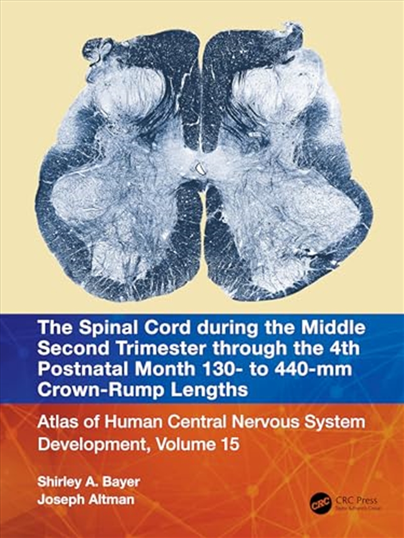 The Spinal Cord During The Middle Second Trimester Through The 4Th Postnatal Month 130- To 440-Mm Cr/Product Detail/Science