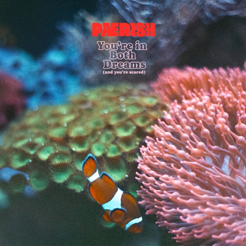 You'Re In Both Dreams: And You/Product Detail/Punk