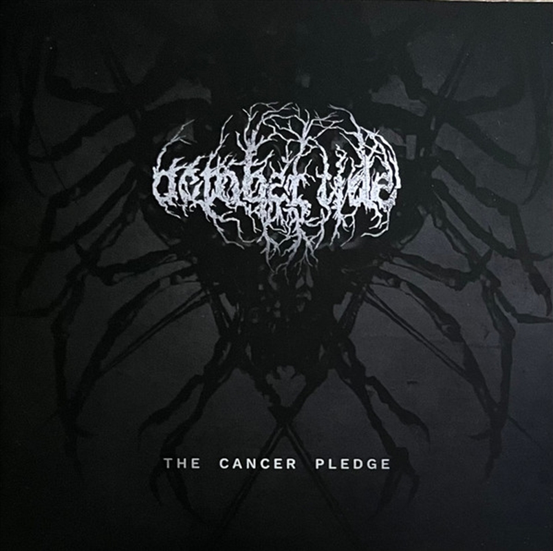 Cancer Pledge/Product Detail/Metal