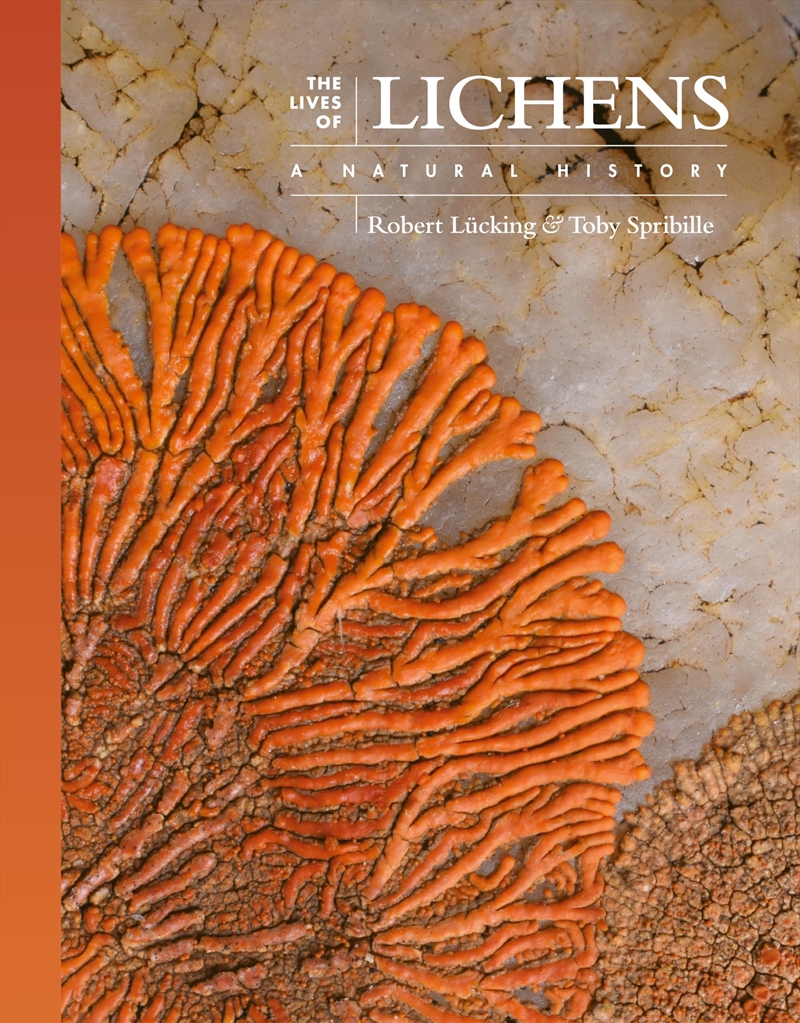 The Lives Of Lichens: A Natural History (The Lives Of The Natural World, 10)/Product Detail/Animals & Nature