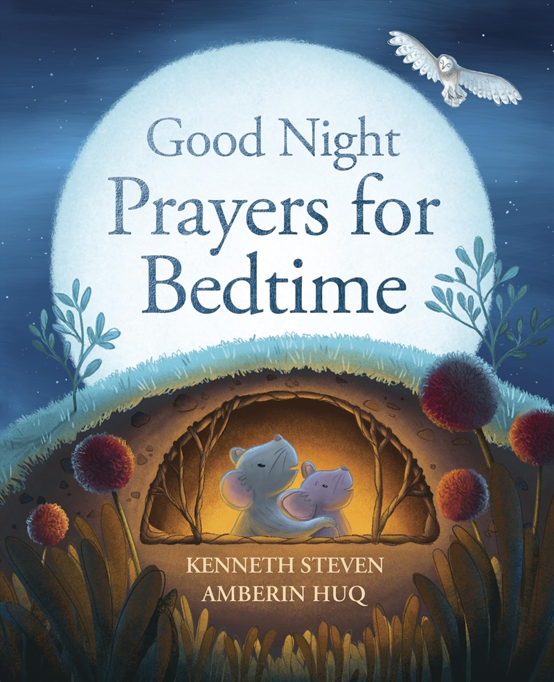 Good Night: Prayers For Bedtime/Product Detail/Early Childhood Fiction Books