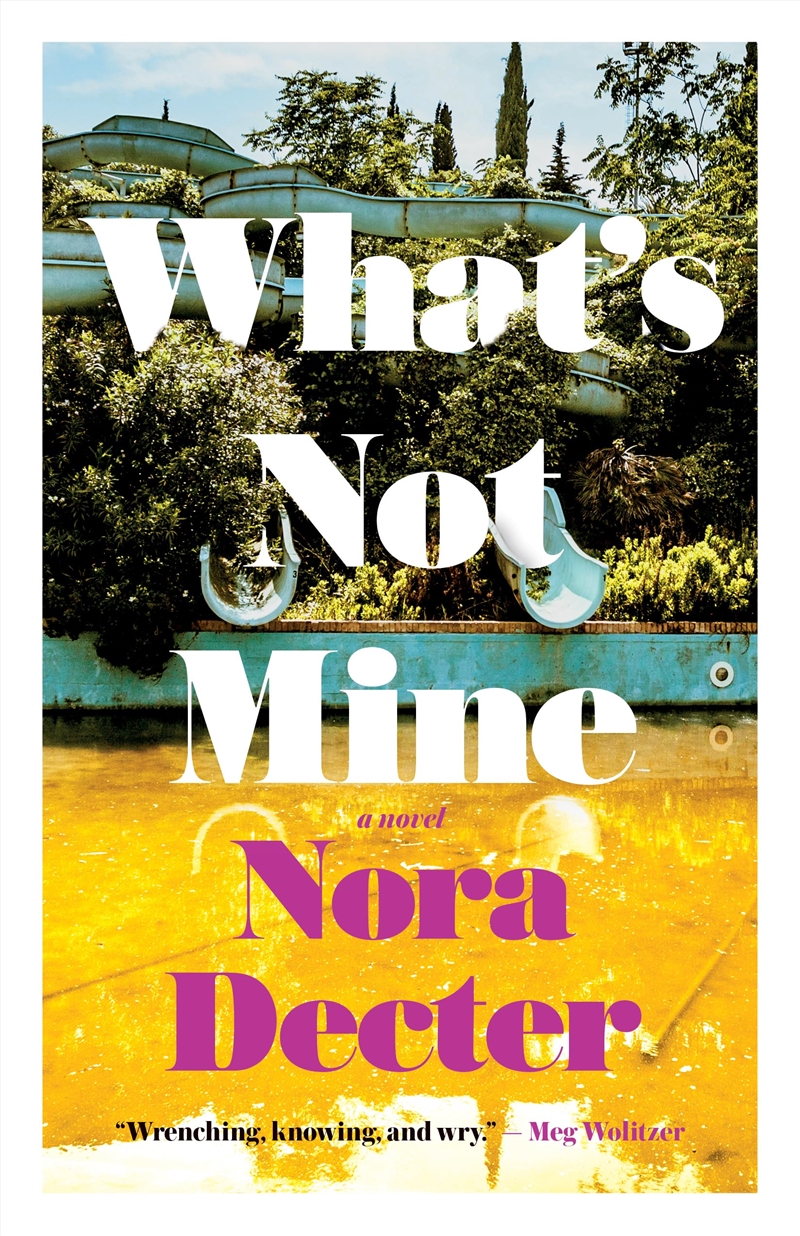 What’S Not Mine: A Novel/Product Detail/General Fiction Books