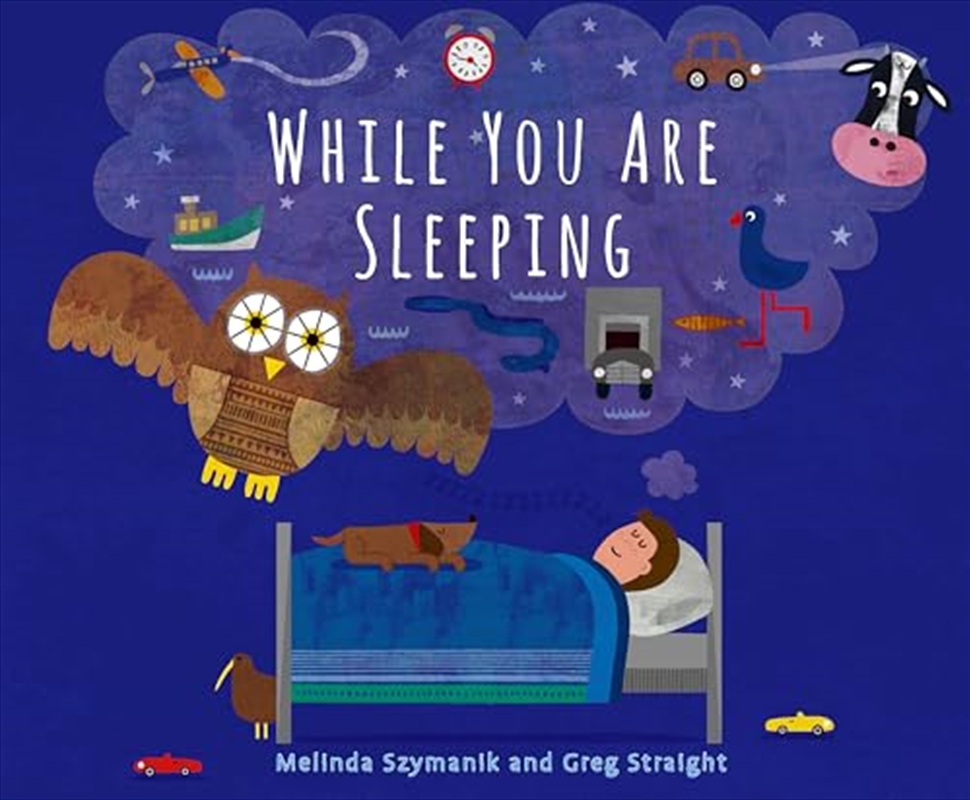 While You Are Sleeping/Product Detail/Early Childhood Fiction Books