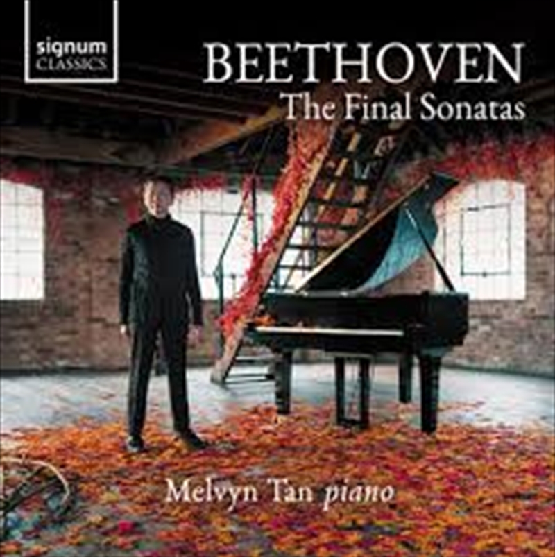 Final Sonatas/Product Detail/Classical