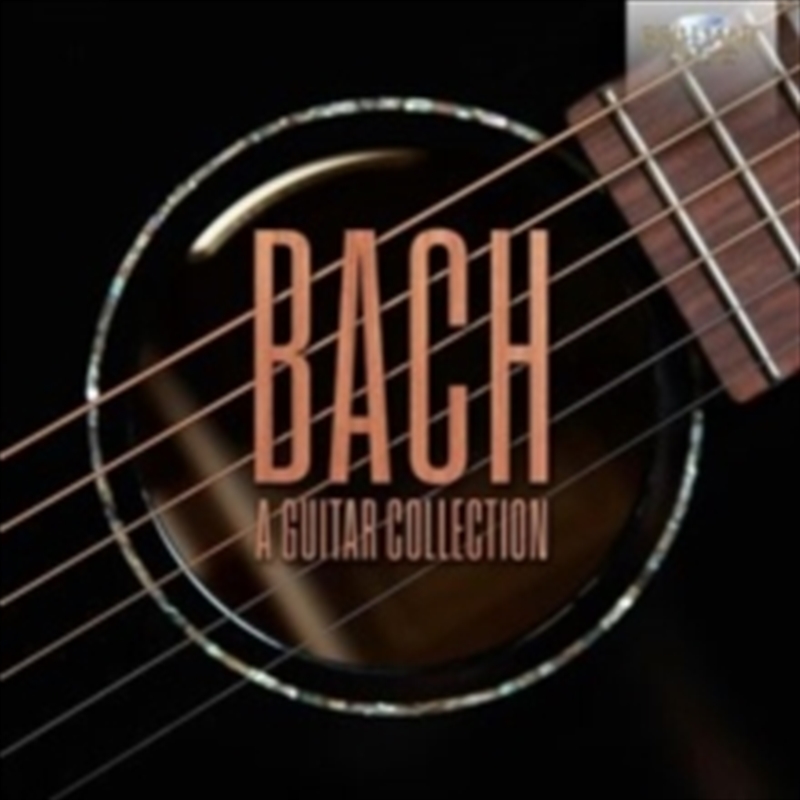 Guitar Collection/Product Detail/Classical