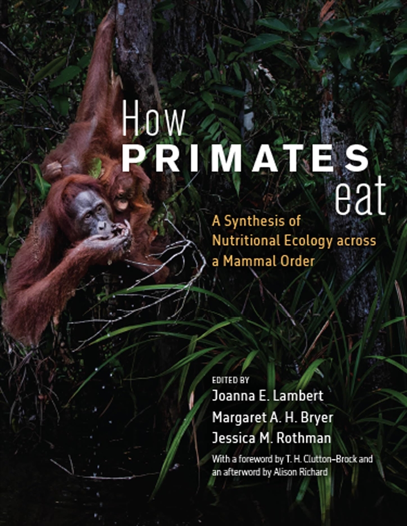 How Primates Eat: A Synthesis Of Nutritional Ecology Across A Mammal Order/Product Detail/Animals & Nature