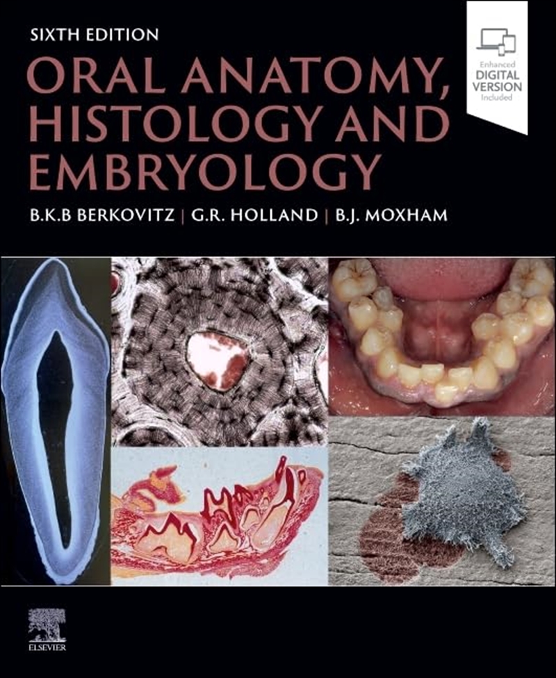 Oral Anatomy, Histology And Embryology/Product Detail/Family & Health