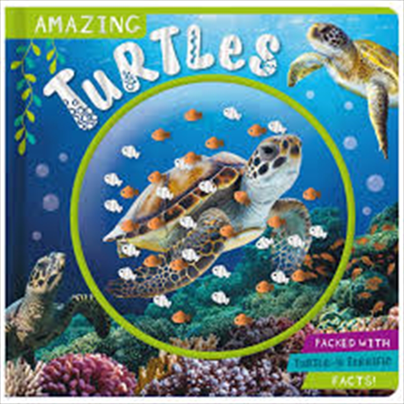 Amazing Turtles/Product Detail/Childrens