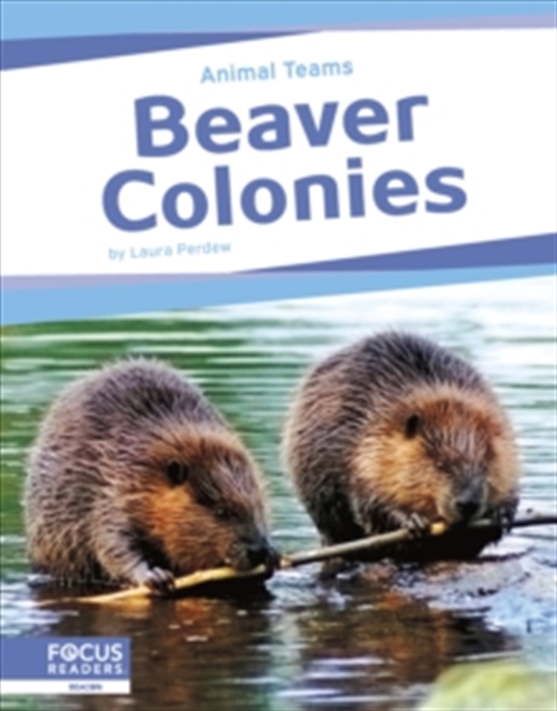 Beaver Colonies/Product Detail/Childrens