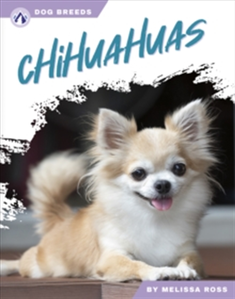 Chihuahuas/Product Detail/Childrens