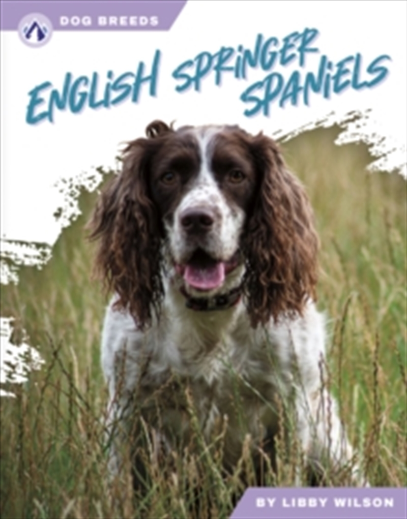 English Springer Spaniels/Product Detail/Childrens