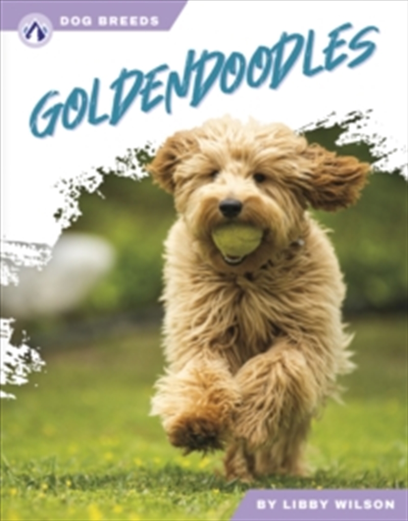 Goldendoodles/Product Detail/Childrens
