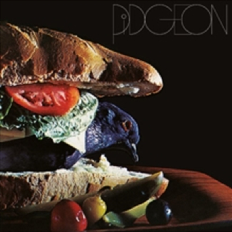Pidgeon/Product Detail/Rock/Pop