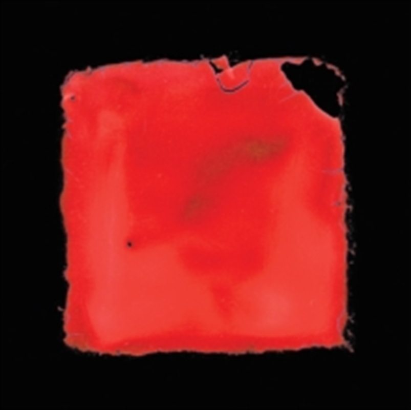 Last Chance To See/Product Detail/Rock/Pop