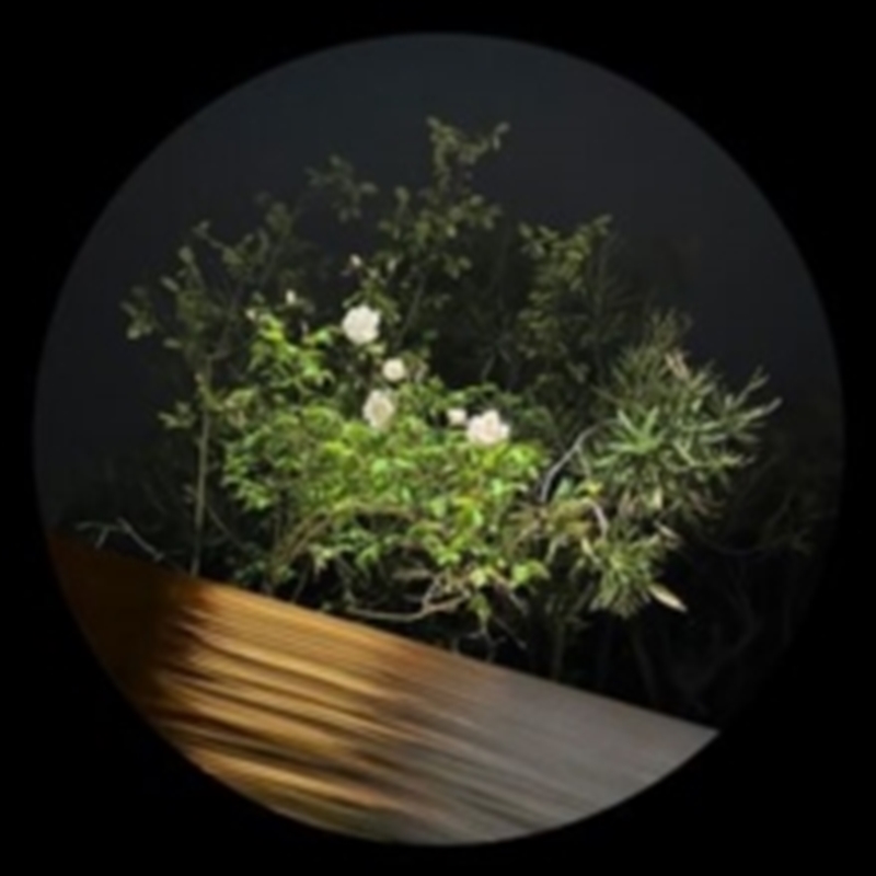 Fine Rise/Product Detail/Dance