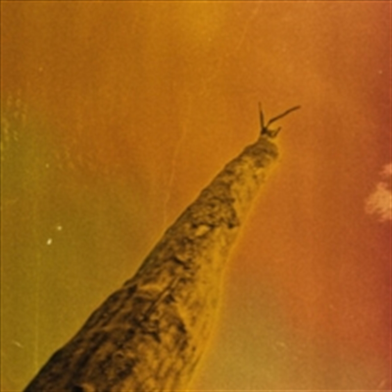 Sihr/Product Detail/World