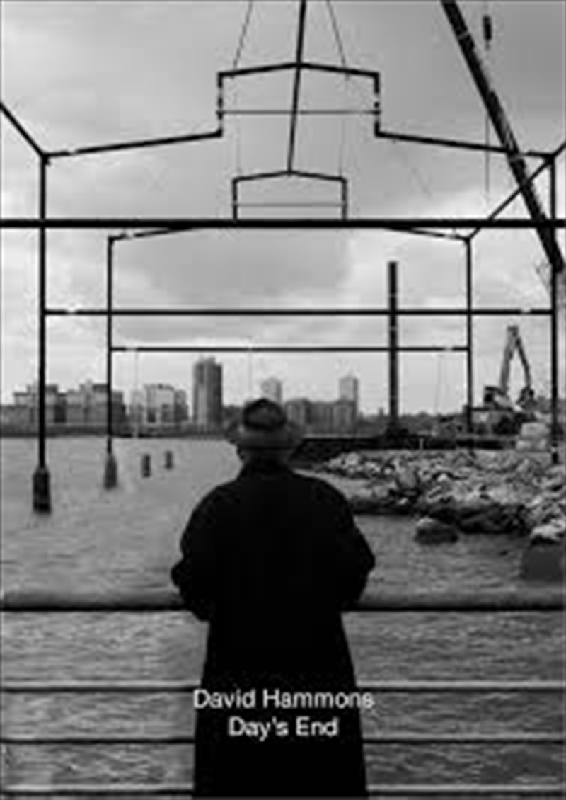 David Hammons: Day'S End/Product Detail/Art