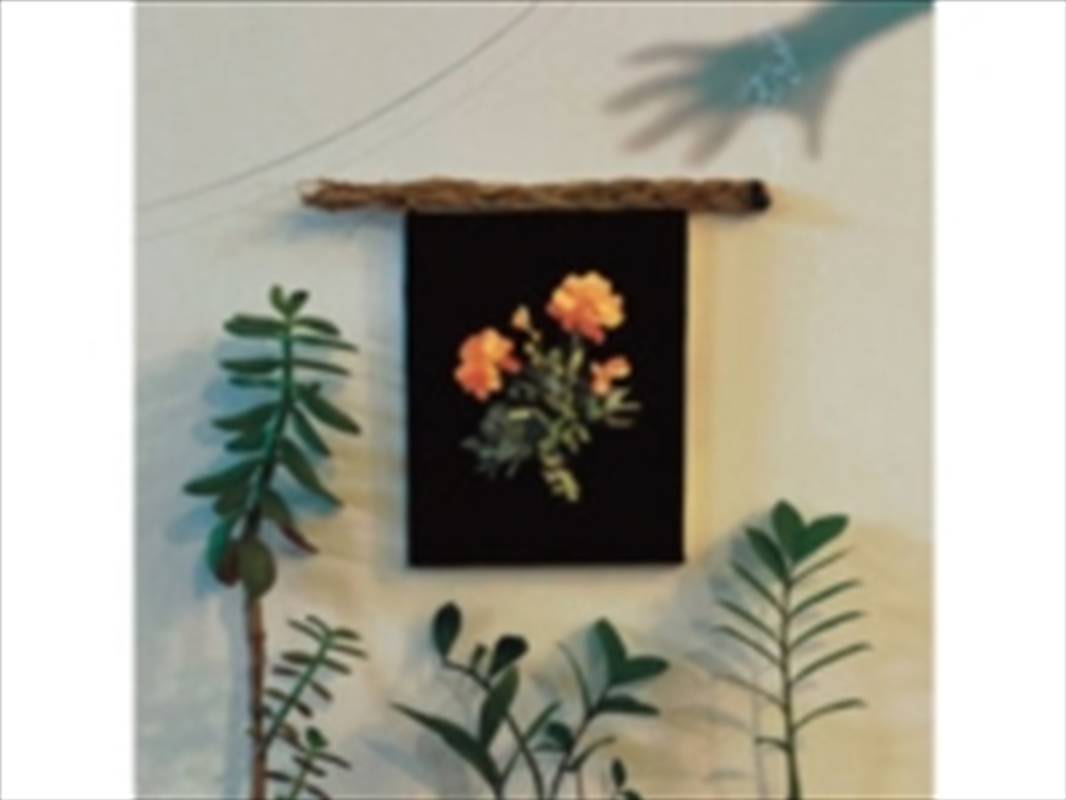 The Well I Fell Into/Product Detail/Rock/Pop