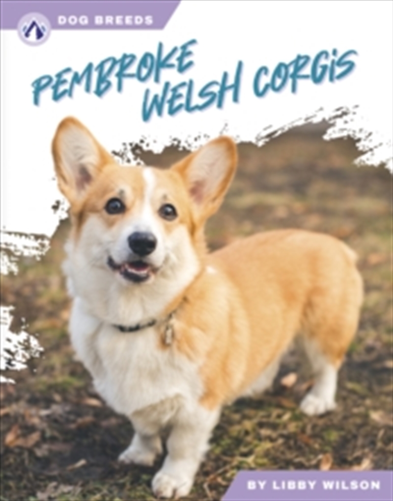 Pembroke Welsh Corgis/Product Detail/Childrens