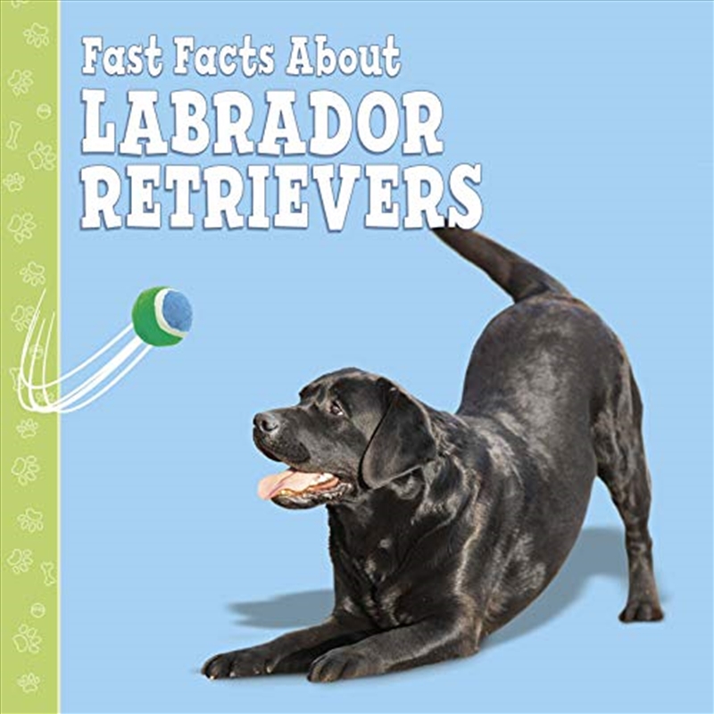 Fast Facts About Labradors/Product Detail/Childrens