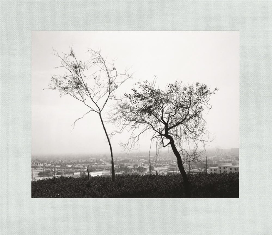 Robert Adams: Los Angeles Spring/Product Detail/Photography