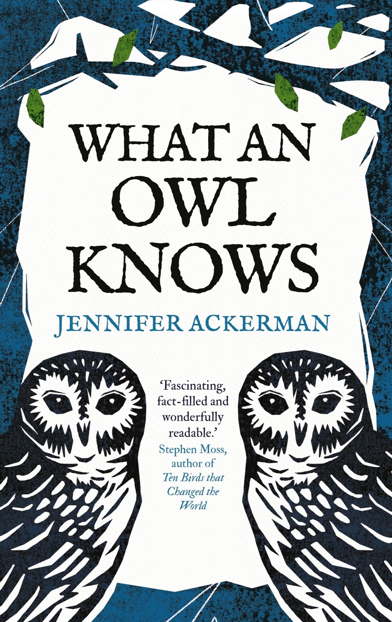 What An Owl Knows/Product Detail/Animals & Nature