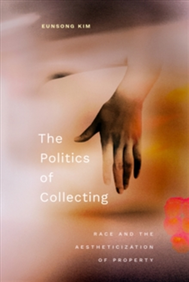 The Politics Of Collecting : Race And The Aestheticization Of Property/Product Detail/Art